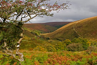 Exmoor landscapes